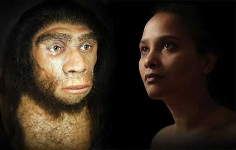 Непосредственные предки современного человека. Неандерталец и хомо сапиенс. Хомо сапиенс неандерталец и Денисовец. Кроманьонец ( homo sapiens). Древний человек хомо сапиенс.