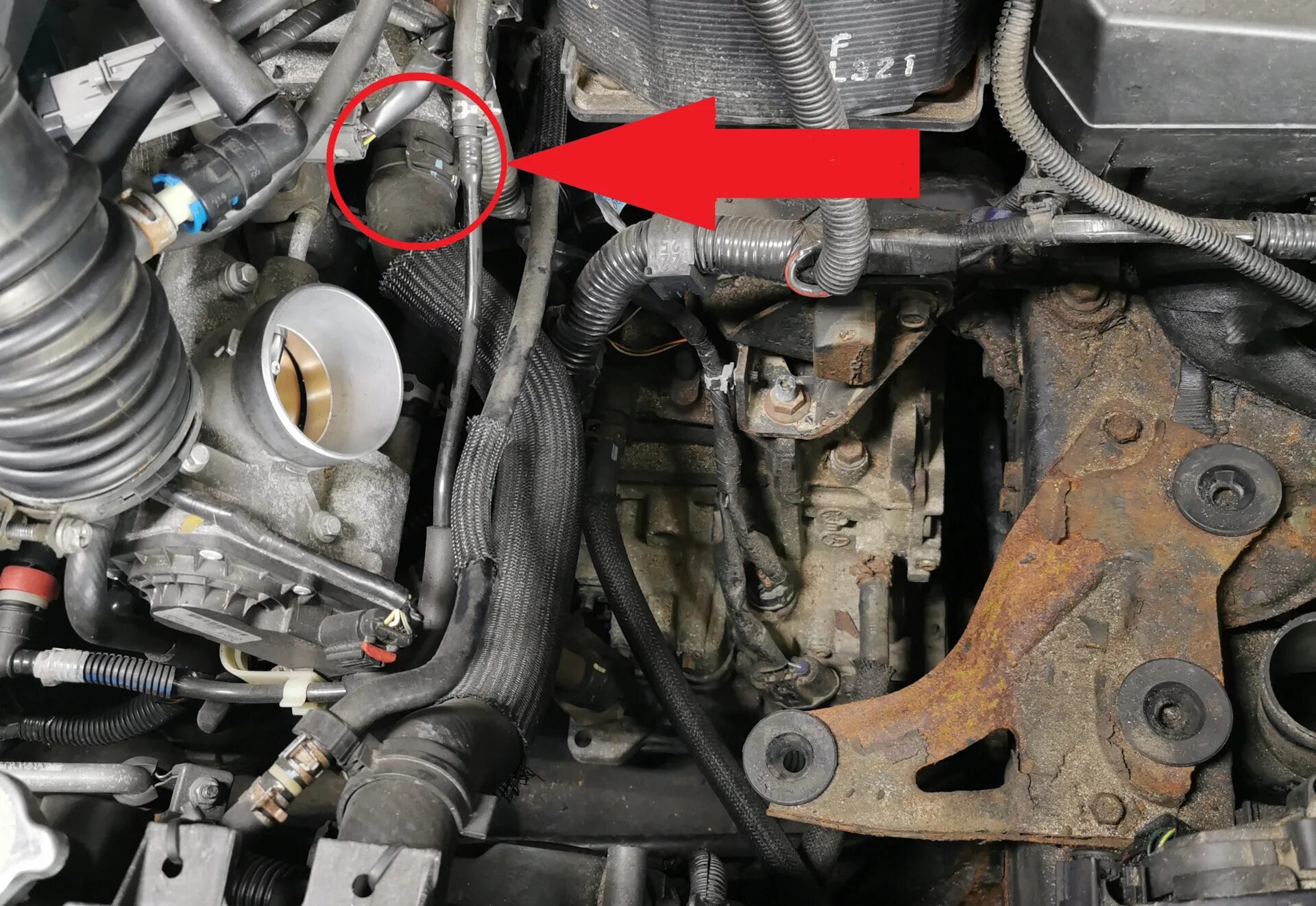 Ошибка 401 исправить. P0401 mazda. p0401 suzuki swift. p0401 toyota. p0401 mazda familia.