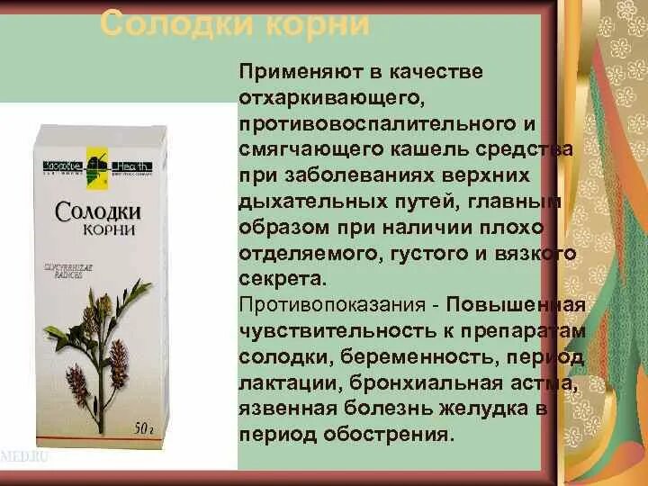 Корни помогают от кашля. Отхаркивающие лекарственные растительные средства. Отхаркивающие лекарственные растения. Отхаркивающие растительного происхождения. Лекарственные растения обладающие отхаркивающим действием.