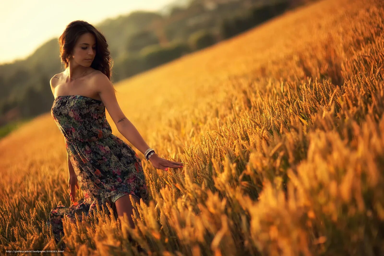 Какая есть красивая. Девушка лето. Красивая девушка в поле. Фотосессия в поле. Женщина в пшеничном поле.
