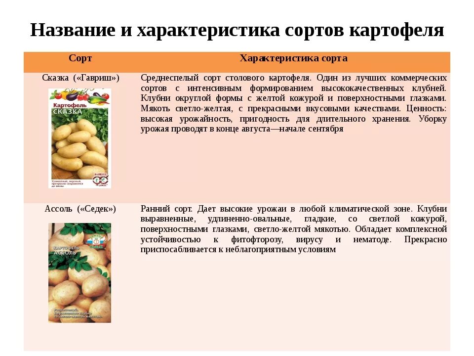 Картофель сказка описание сорта. Сорта картофеля названия. Характеристика картофеля. Картофель сказка характеристика сорта. Сказка картофель характеристика.