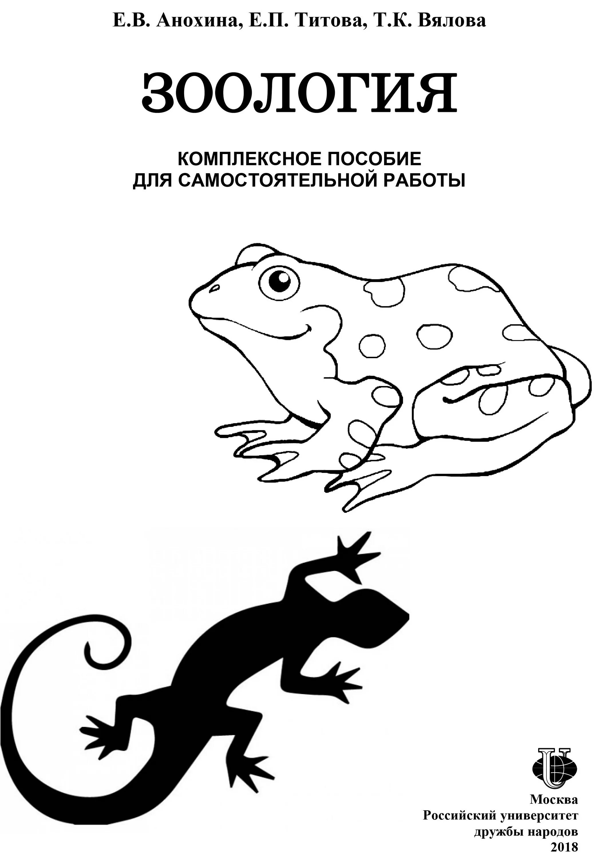 В царстве животных. Зоология рисунок. Зоология рисунок. Зоологические иллюстрации. Зоология фон.