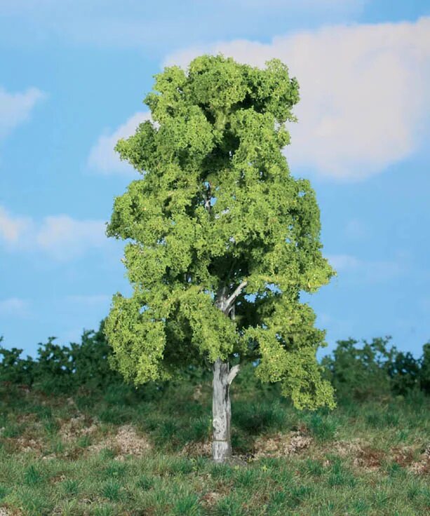 Tree 18