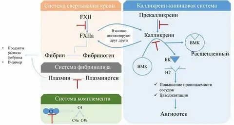 Уровень с1 ингибитора