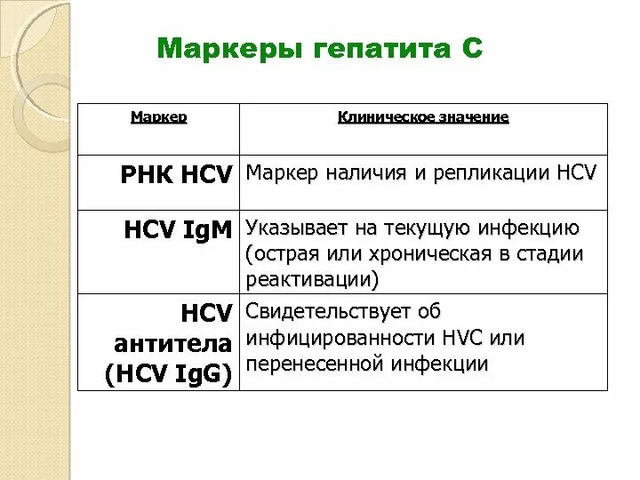 Что значит вгс. Маркеры репликации HCV. Маркер репликации вируса гепатита в. Маркеры острого и хронического вирусного гепатита в. Маркеры при гепатитах.