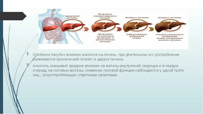 Как таблетки влияют на печень