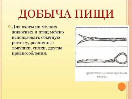 Способ добычи животных