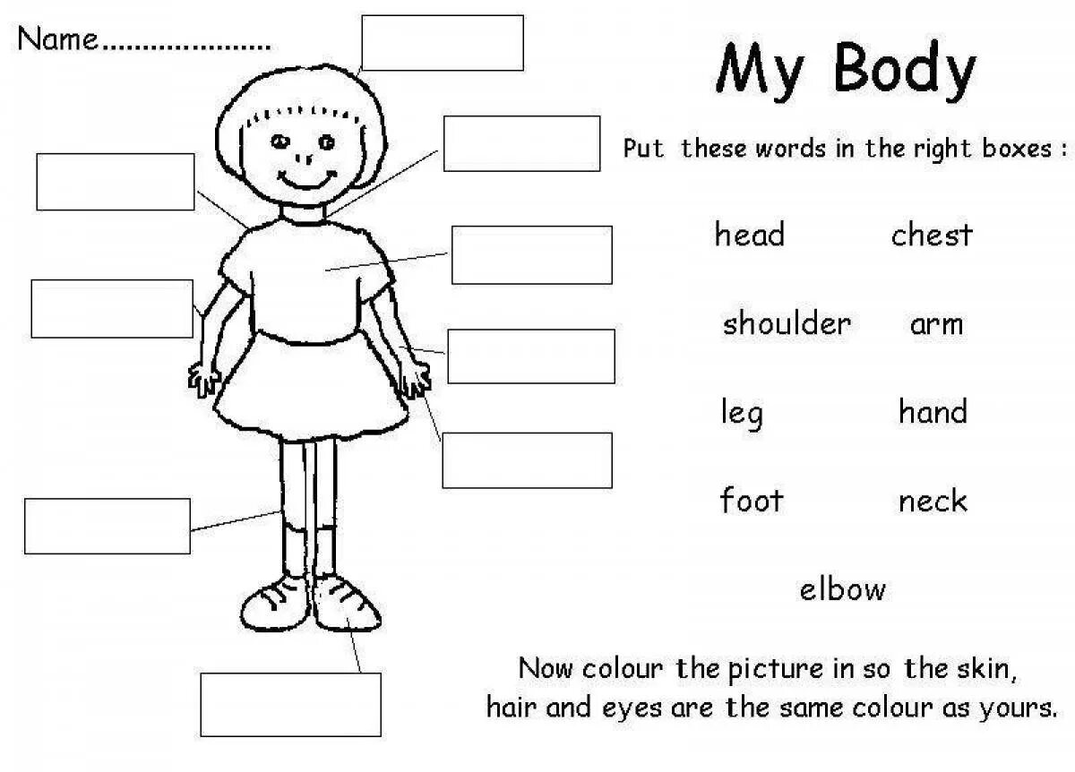 This is my body. Задания по английскому части тела. Части тела на английском языке задания. Задания на тело человека английский. Задания на закрепления частей тела на английском.