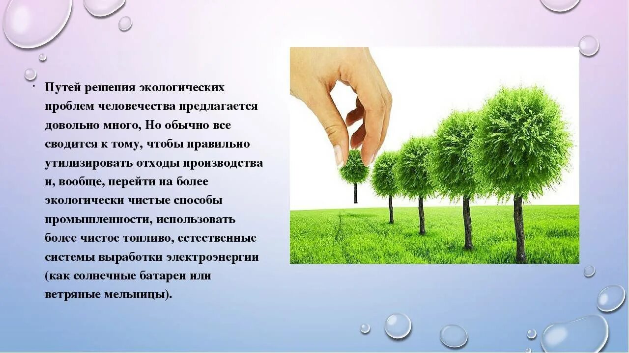 Растение изменившая жизнь