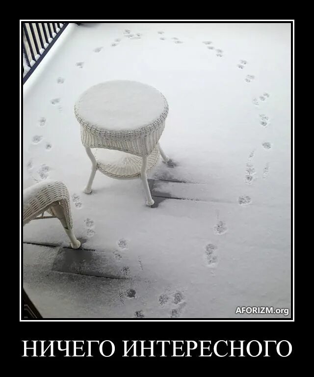 ничего не понял но очень интересно мем. ничего интересного. ничего забавного. ничего забавного. ничего интересного картинка.