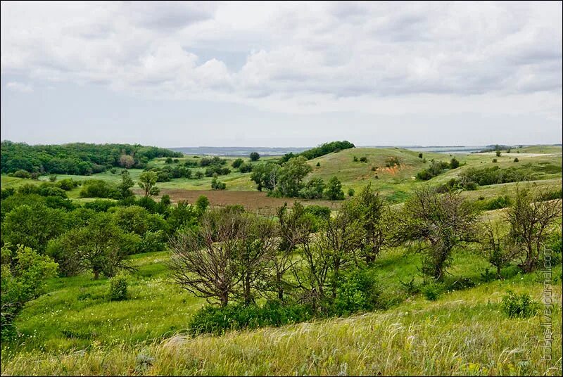 быстрогорский тацинский район. как выглядит ростовская область. как выглядит ростовская область. как выглядит ростовская область. культурное наследие ростовской области.
