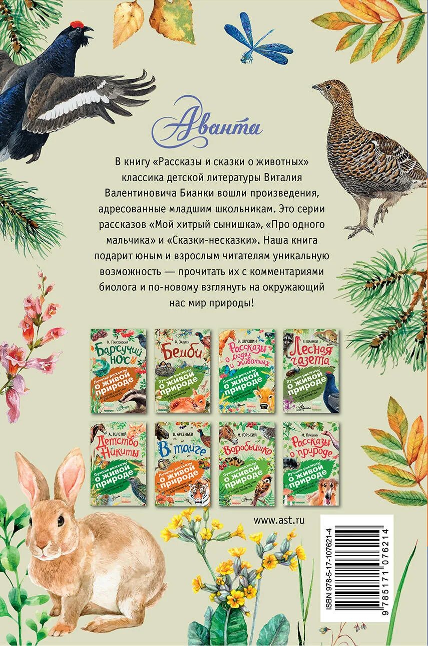 Отзыв сказки о животных. Книга бианки сказки и рассказы о животных. книги бианки для детей.