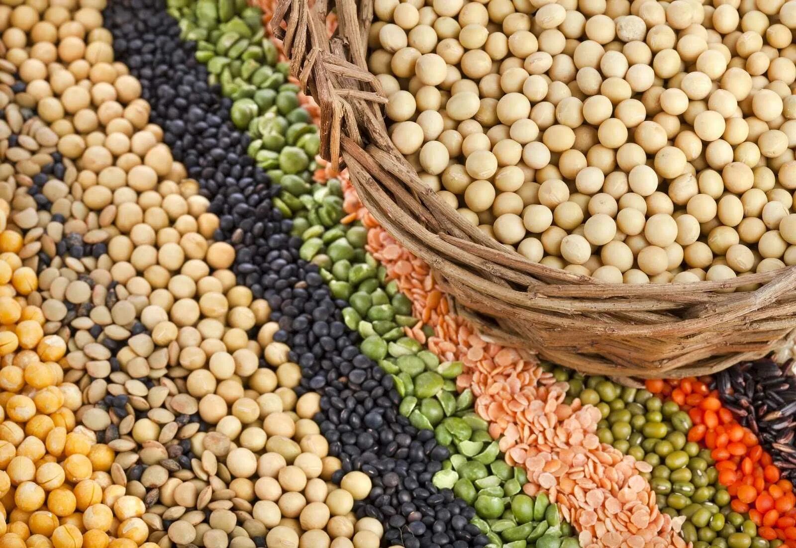 100г чечевицы. Soak lentils. 100г чечевицы. Египетская чечевица. Горох сухой зелёный крупа гороховая зелёная.