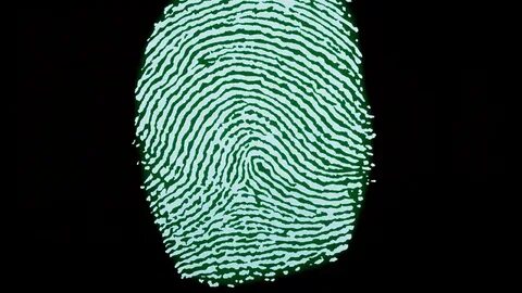 Fingerprint system