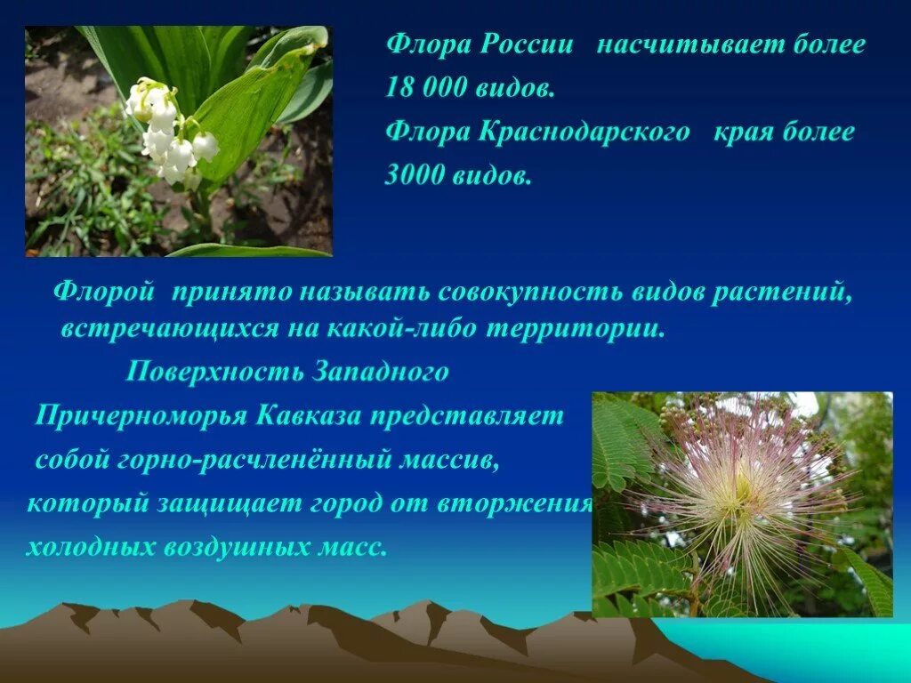 Растение города сообщение. Растительный мир краснодарского края. представители флоры это растение. растения кавказа и краснодарского края.