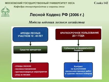 Система лесного законодательства