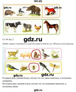 Окружающий мир 1 класс страница 64