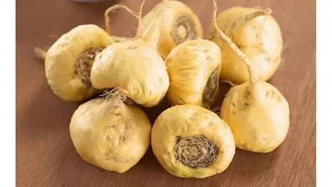 Maca