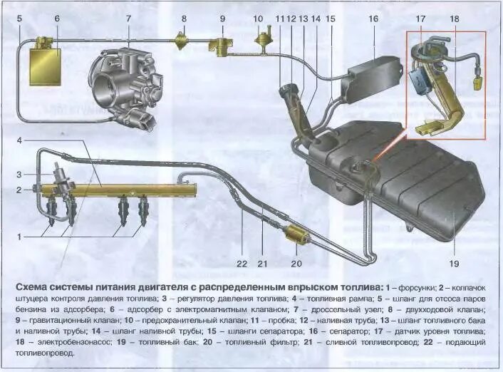 Какую функцию выполняет система питания. Топливная магистраль нива 21213. топливная система ваз 21 21. сепаратор топливной системы ваз 21213 нива. ваз 2114 топливный бак абсорбер.