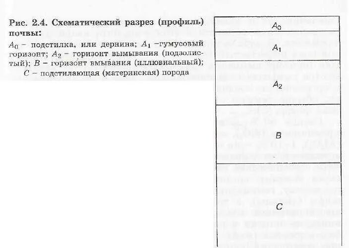 Как обозначается горизонт. Горизонт вмывания. мощностью около 80 сантиметров представлен горизонт вмывания. как обозначается горизонт в умывании.