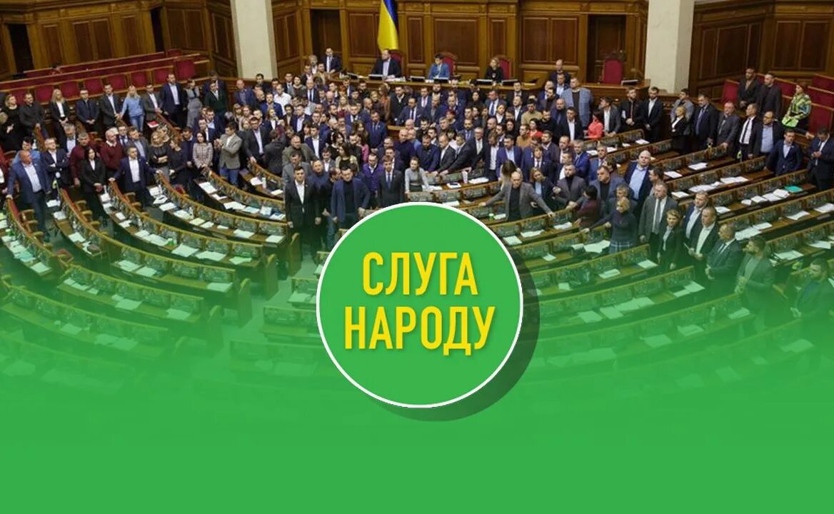 Партия слуга народа Украина. Слуга народа партия флаг. Партия «слуга народа» Денисова.