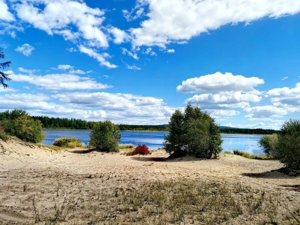 Крайние дни лета. С последним летним днем. Шомохта лето. Накоряково лето. Тобольск пейзажи лето.