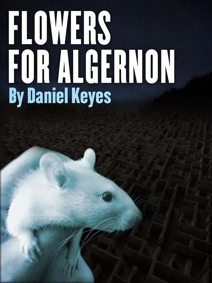 Элджернон чарли и я. Книга a Flowers for Algernon. Flowers for Algernon Daniel Keyes, 1966. Цветы для Элджернона. Цветы для Элджернона Чарли.