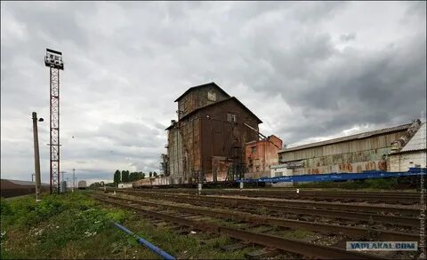 Поезд лебедянь