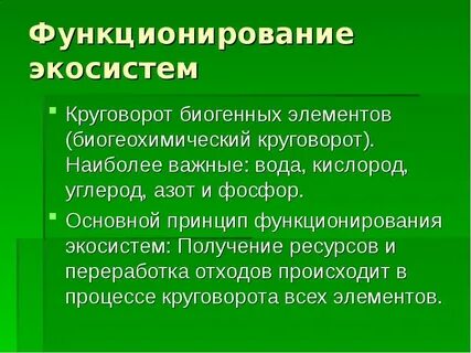 Что является главным условием экосистем