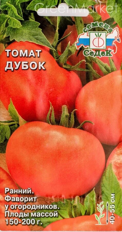 Помидоры сорт Дубок характеристики. Сорт помидор Дубок. Дубок Дубрава помидоры. Томат Дубок СЕДЕК.