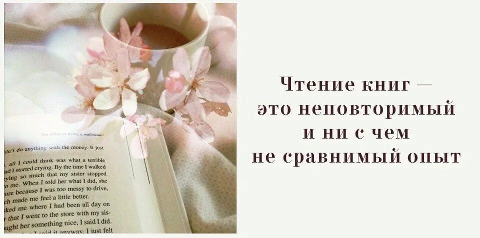 Новая книга цитаты