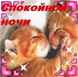 Споки в обе щеки. Целую в щечки спокойной ночки. спокойной ночи чмок чмок. споки ноки в обе щеки. споки-ноки-чмоки в обе щеки.