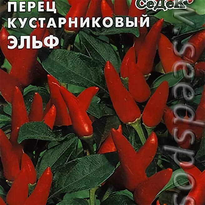 Less peppers. Перец острый кустарниковый Эльф. Острый перец little Elf. Перец кустарниковый сладкий. Перец Эльф (кустарниковый ) (евро, 0,2).