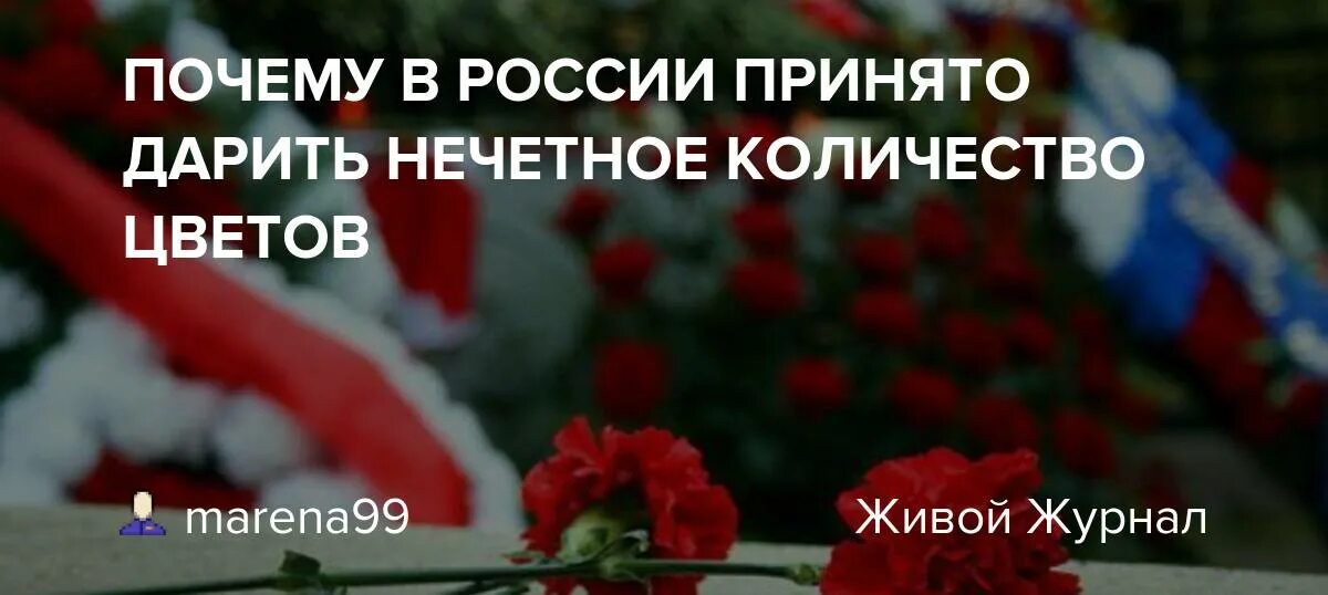 Сколько цветов нужно дарить живым людям. Почему принято дарить нечетное количество цветов. Чётное или Нечётное количество цветов кладут на могилу. Количество цветов на похороны четное или нечетное. Почему на могилу кладут четное количество цветов.