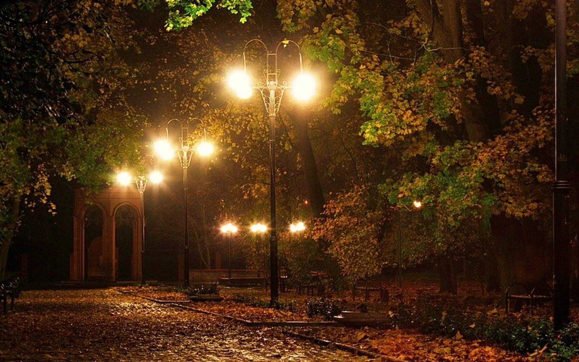 Улица ночью весной. Осенняя ночь. Городской парк ночью. Осень парк ночь. Осень вечер парк.