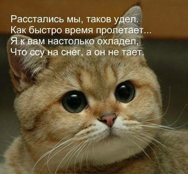 Совсем таков. Совсем таков