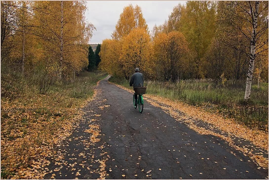 Осенняя тропа в деревне. Путник осень. Ухожу в осеннюю даль. Путник на Лесной дороге.