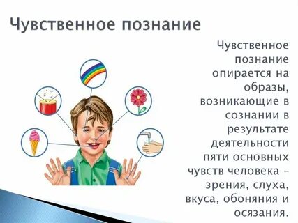 Что такое чувственное познание