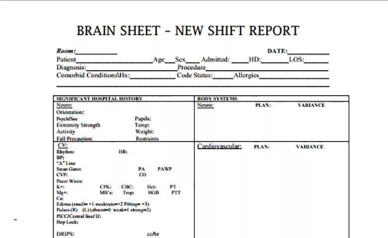 Sheets new. Patient report. shifts sheets. this is a new sheet. shifts my sheets.