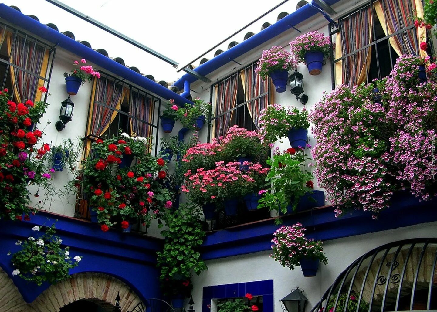 Фотографии дом цветов. Домик в цветах. Фотографии дом цветов. Цветочный дворик. Дом украшенный цветами.