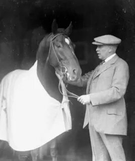 Horse manning