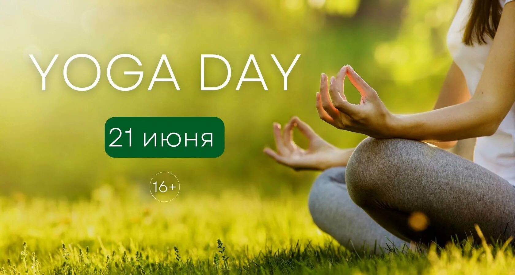 Открой сутки. Солнце, трава, йога. Медитация на хороший день. Медитация на траве. Holistic Health Practitioner near me.
