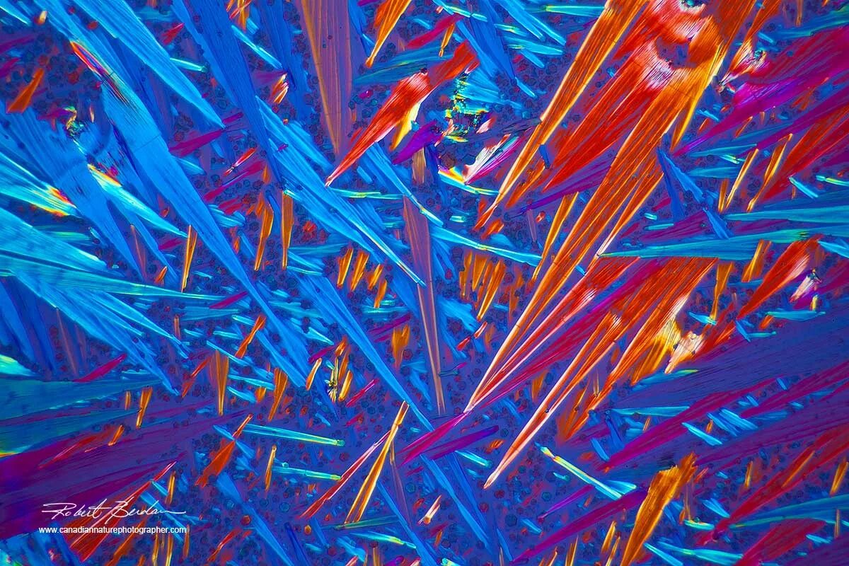 Кристаллы кофеина под микроскопом. Кофеин под микроскопом. Микрокристал под микроскопом. Лед под микроскопом.