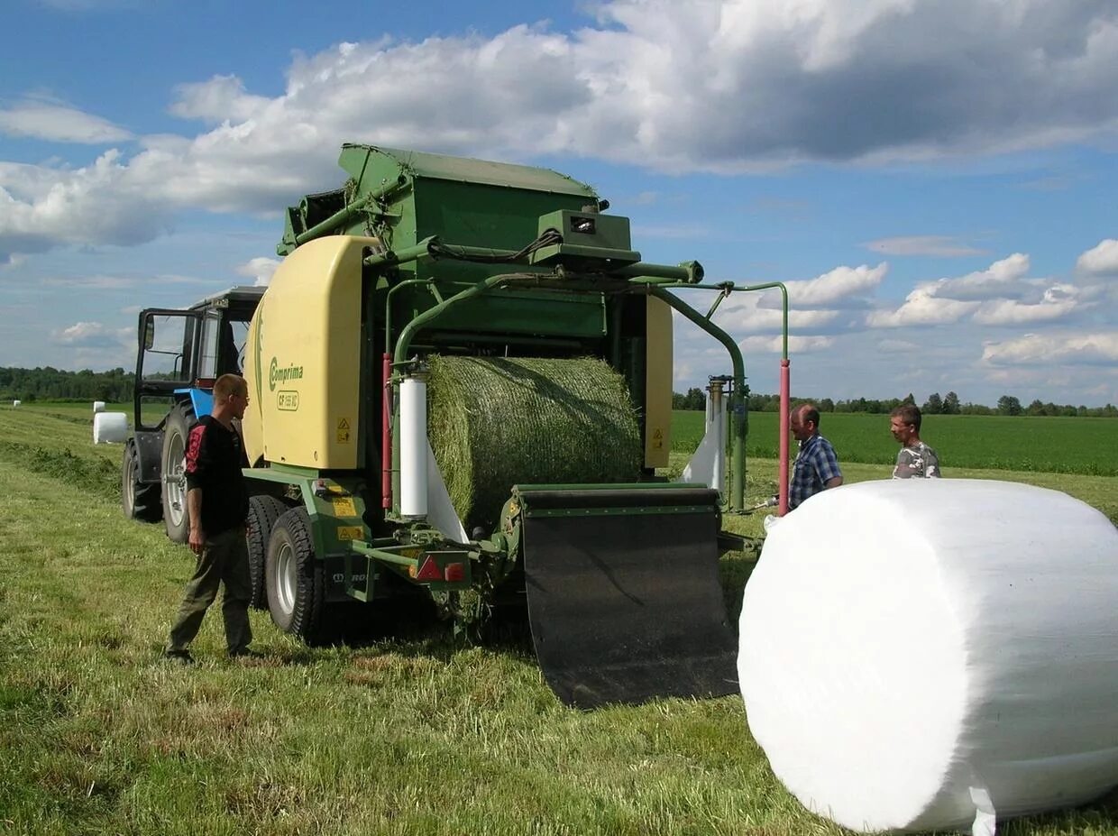 Комбайн claas jaguar 900. Комбайн для заготовки силоса и сенажа. Обмотчик рулонов welger attis hr 16. Технологии заготовки силоса и сенажа. Технология заготовки силоса.