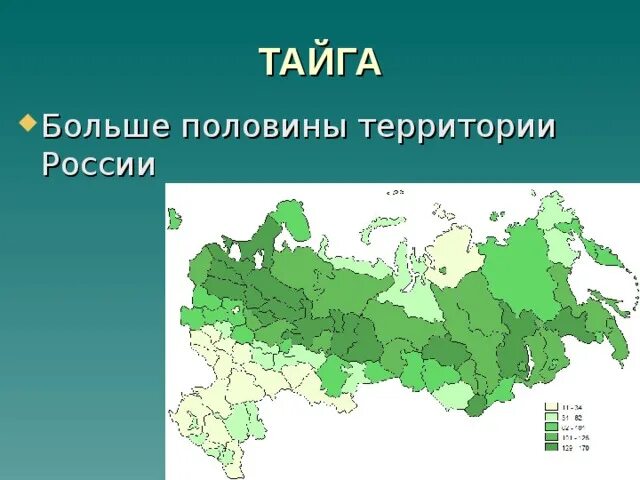 Расположение тайги на территории России. Тайга на карте России. Географическое положение тайги. Расположение зоны тайги. Протяженность тайги по направлениям в градусах