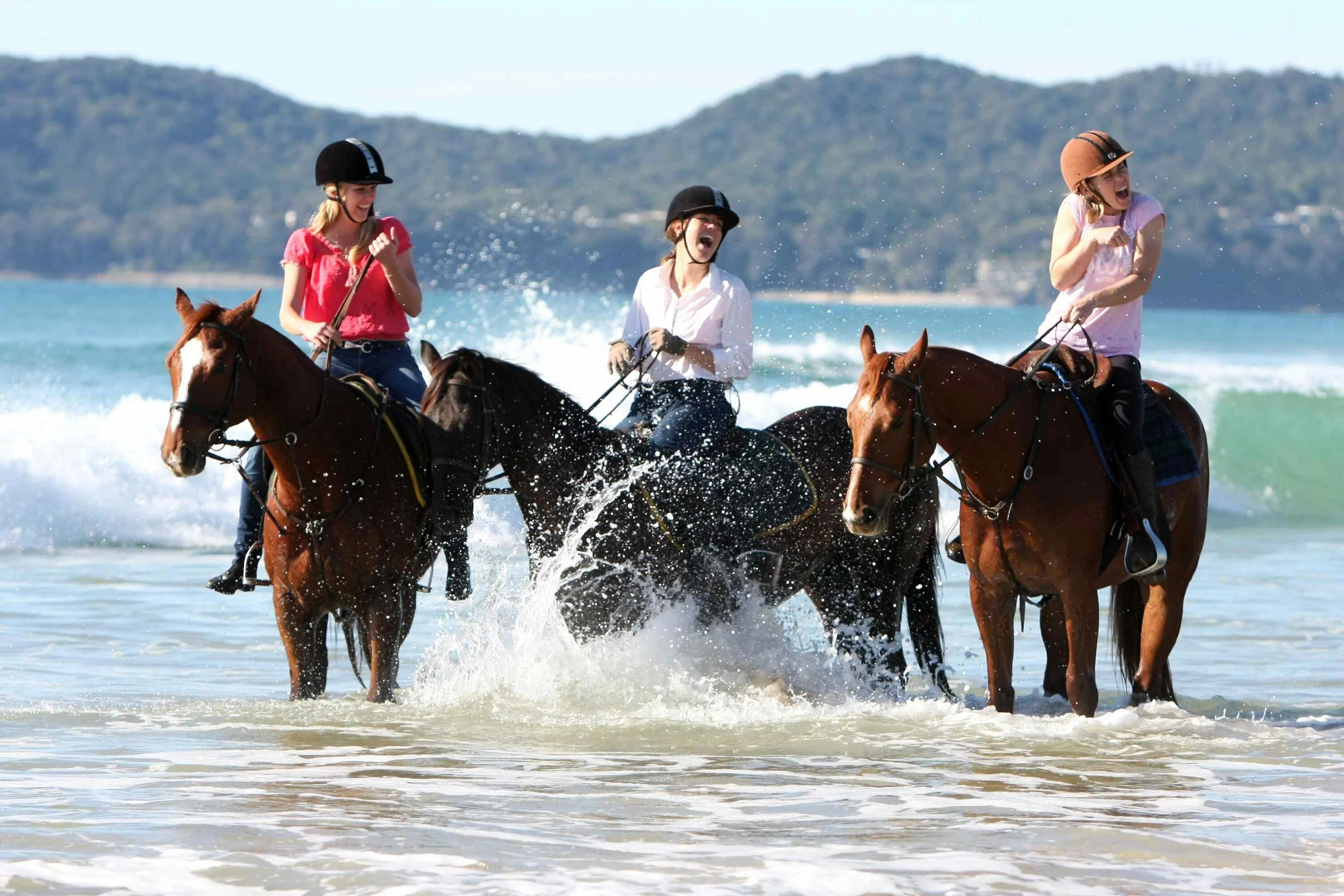 Horse riding. Horseback riding. Маврикий туризм спорт. Ride a Horse.