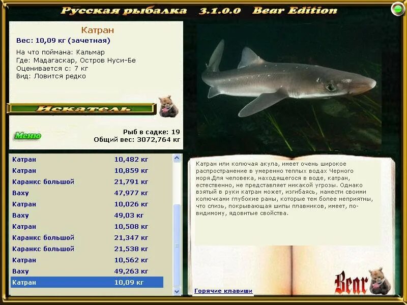 Катран (хрен) аккорд. Катран акула черного моря. Катран игра. Катран черноморский. Катран сельдевая акула.