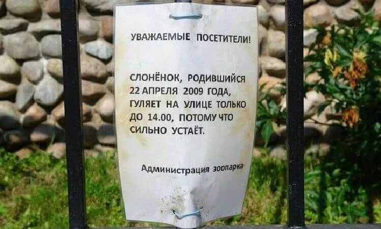 Уважаемые посетители зоопарка. Уважаемые посетители зоопарка. Спасите прикол. Спасите прикол. Уважаемые посетители зоопарка.