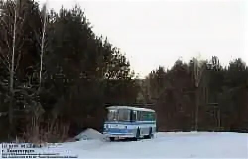 Балтийский берег курортная ул. , 1, зеленогорск. Автобус 305 жилгородок зеленогорск. Расписание автобусов ависма. Расписание автобуса 428 2022.