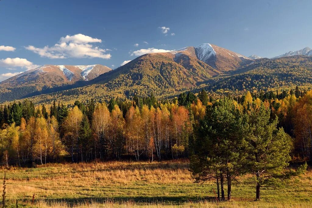 Алтай сейчас. Природа времена года Алтай. Горный Алтай времена года. Горный Алтай время.